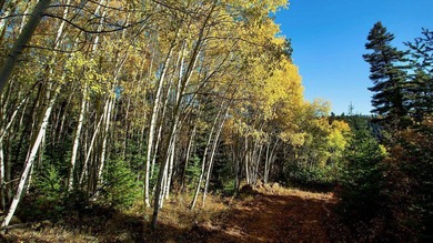 The Ranch at Angel Fire is a rare legacy opportunity to own the - photo 11
