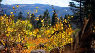 The Ranch at Angel Fire is a rare legacy opportunity to own the - photo 14