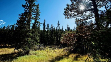 The Ranch at Angel Fire is a rare legacy opportunity to own the - photo 18