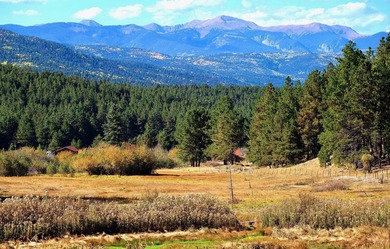 The Ranch at Angel Fire is a rare legacy opportunity to own the - photo 19