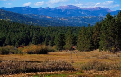 The Ranch at Angel Fire is a rare legacy opportunity to own the - photo 20