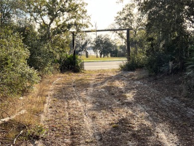 (private lake, pond, creek) Acreage For Sale in Deltona Florida