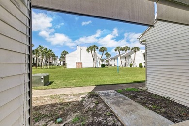 Light & Bright 2-Bedroom Condo in The Palms of Tarpon Springs! - photo 22
