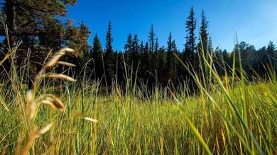 The Ranch at Angel Fire is a rare legacy opportunity to own the - photo 24