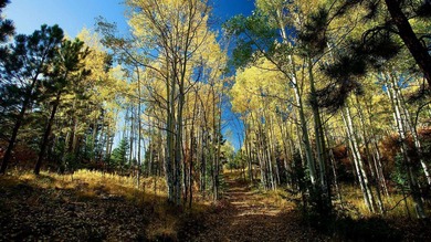 The Ranch at Angel Fire is a rare legacy opportunity to own the - photo 27