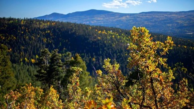 The Ranch at Angel Fire is a rare legacy opportunity to own the - photo 28