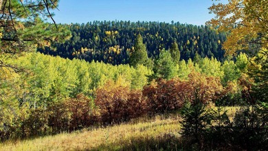 The Ranch at Angel Fire is a rare legacy opportunity to own the - photo 29