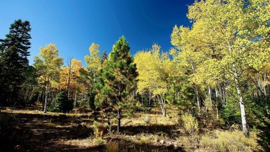 The Ranch at Angel Fire is a rare legacy opportunity to own the - photo 30
