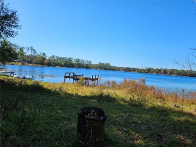 Junior Lake Home Sale Pending in Interlachen Florida