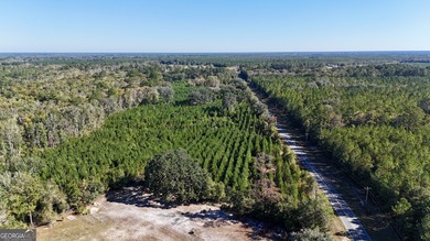 (private lake, pond, coastal) Acreage Sale Pending in Nahunta Georgia