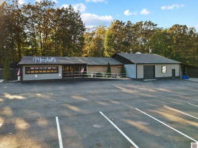 Kentucky Lake Commercial For Sale in Benton Kentucky