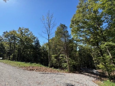 Waterfront Lot. Views & Dock. Over 600' Water Frontage. - photo 15