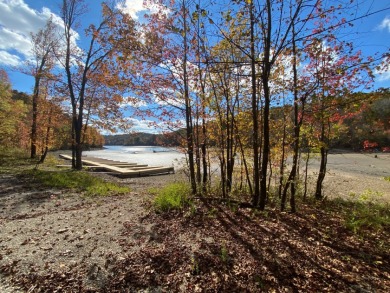 Waterfront Lot. Views & Dock. Over 600' Water Frontage. - photo 10