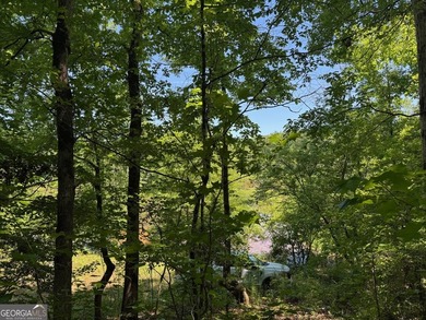 A rare 121.12-acre tract with 1,340 feet of paved frontage on - photo 11