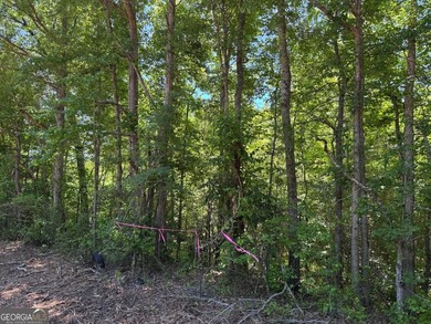 A rare 121.12-acre tract with 1,340 feet of paved frontage on - photo 13
