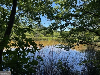 A rare 121.12-acre tract with 1,340 feet of paved frontage on - photo 14