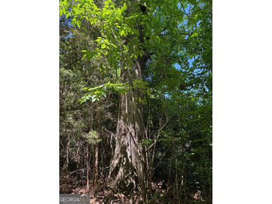 A rare 121.12-acre tract with 1,340 feet of paved frontage on - photo 15