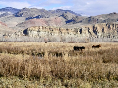 Salmon River - Custer County Home For Sale in Challis Idaho