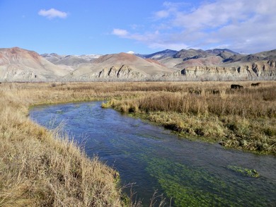 Located in the heart of Idaho, this remarkable 1,480-acre ranch - photo 7
