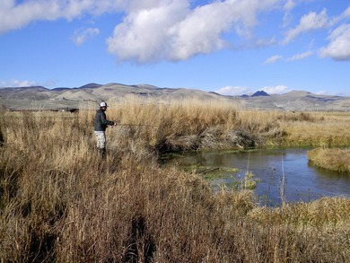 Located in the heart of Idaho, this remarkable 1,480-acre ranch - photo 8