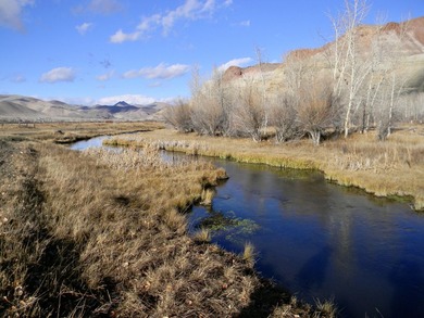 Located in the heart of Idaho, this remarkable 1,480-acre ranch - photo 9
