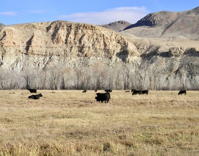 Located in the heart of Idaho, this remarkable 1,480-acre ranch - photo 10