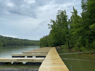 Waterfront Lot. Views & Dock. Over 600' Water Frontage. - photo 6