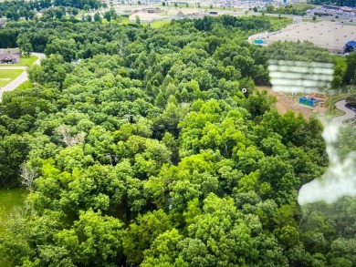 (private lake, pond, creek) Lot For Sale in Crossville Tennessee