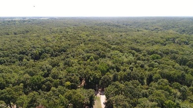 Stretching across 307 +/- remarkable acres, this one of a kind - photo 3
