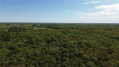 Stretching across 307 +/- remarkable acres, this one of a kind - photo 5