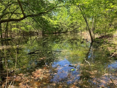 Stretching across 307 +/- remarkable acres, this one of a kind - photo 8