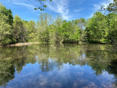 Stretching across 307 +/- remarkable acres, this one of a kind - photo 9