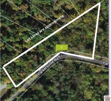 Amazing 1.75 acre property that is ready to develop your dream - photo 2