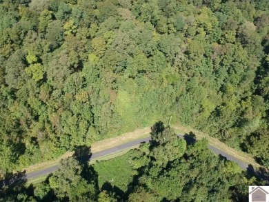 Amazing 1.75 acre property that is ready to develop your dream - photo 5