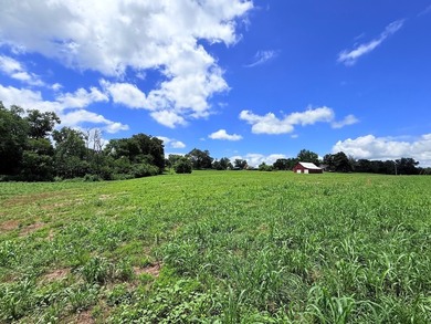 5.58 ACRES, m/l, Excellent Acreage Tract with LOTS of room for - photo 12