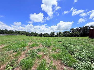 5.58 ACRES, m/l, Excellent Acreage Tract with LOTS of room for - photo 15