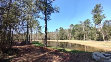 (private lake, pond, coastal) Acreage For Sale in Plainville Georgia