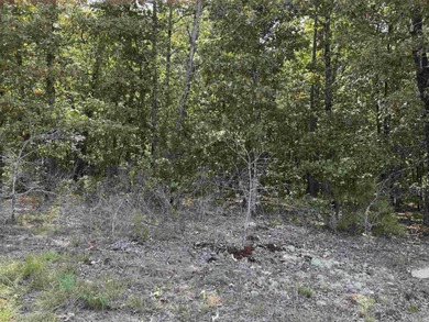 Lake Maumelle Lot For Sale in Roland Arkansas