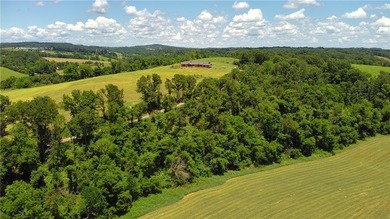 This farm is the dream of a homesteader, cattle owner, or just a - photo 44