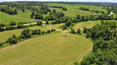 This farm is the dream of a homesteader, cattle owner, or just a - photo 47
