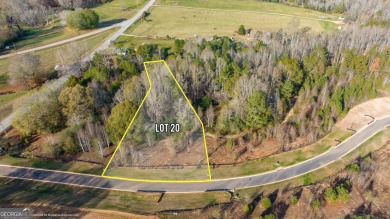 Lake Lanier Lot For Sale in Murrayville Georgia