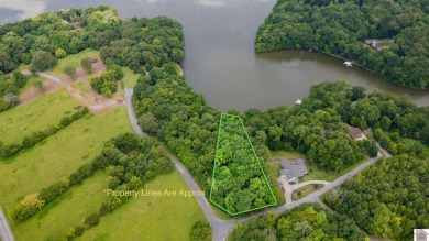 APPROVED DOCK PERMIT IN HAND! Beautiful Waterfront Lot!! This - Lake Lot For Sale in Cadiz, Kentucky