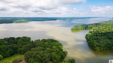 APPROVED DOCK PERMIT IN HAND! Beautiful Waterfront Lot!! This - photo 4