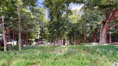 APPROVED DOCK PERMIT IN HAND! Beautiful Waterfront Lot!! This - photo 5