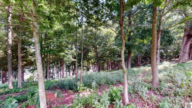 APPROVED DOCK PERMIT IN HAND! Beautiful Waterfront Lot!! This - photo 6