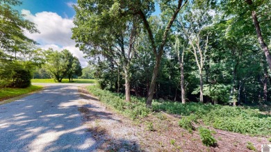 APPROVED DOCK PERMIT IN HAND! Beautiful Waterfront Lot!! This - photo 7