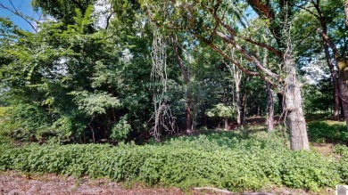 APPROVED DOCK PERMIT IN HAND! Beautiful Waterfront Lot!! This - photo 8