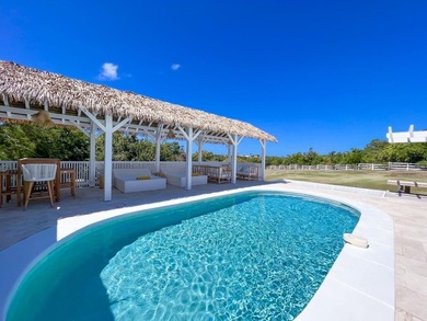 Experience refined Caribbean living in this magnificent villa - photo 8