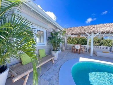 Experience refined Caribbean living in this magnificent villa - photo 9