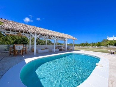 Experience refined Caribbean living in this magnificent villa - photo 10